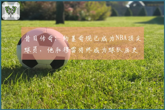 昔日传奇:约基奇现已成为NBA顶尖球员,他和穆雷将终成为球队历史最佳双星